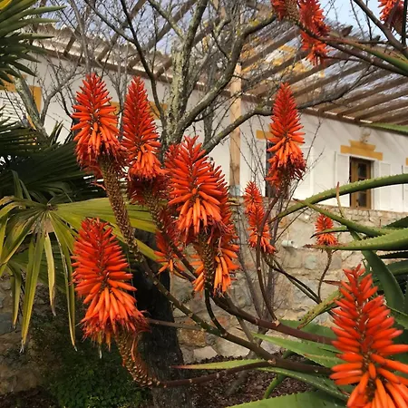Casa Amendoiera * Olhão